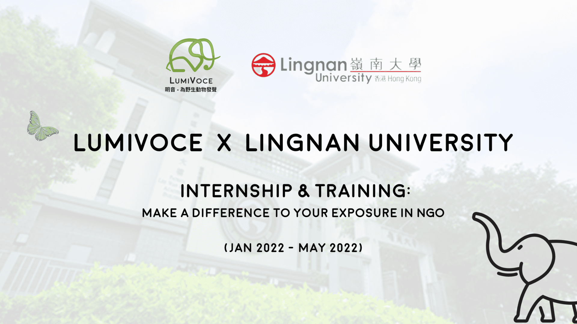 Lingnan University x LumiVoce Internship & Training Program Announcement